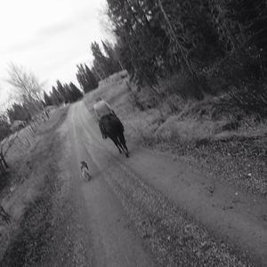 Meet your Posher, Tj